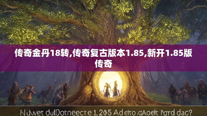 传奇金丹18转,传奇复古版本1.85,新开1.85版传奇