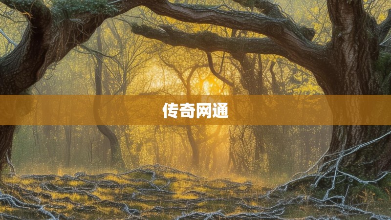 传奇网通