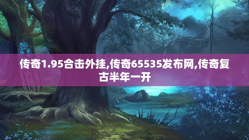 传奇1.95合击外挂,传奇65535发布网,传奇复古半年一开