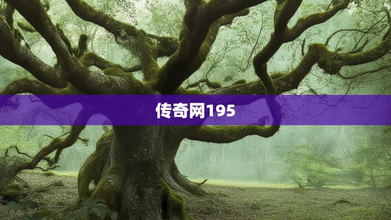 传奇网195
