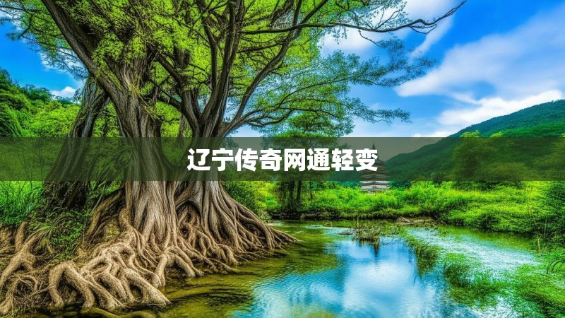 辽宁传奇网通轻变