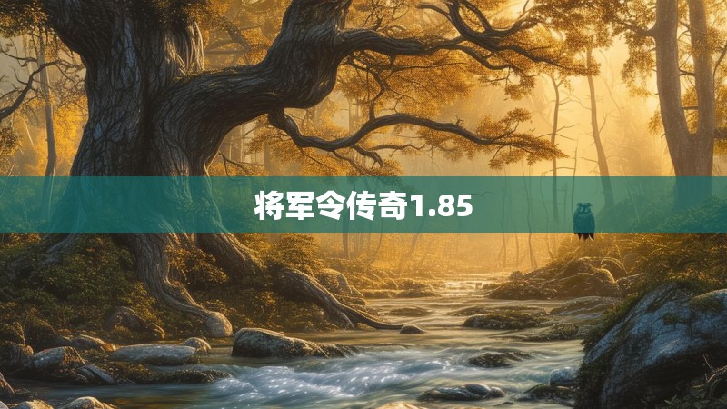 将军令传奇1.85