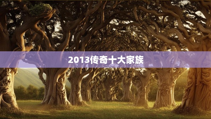 2013传奇十大家族