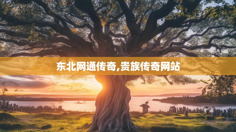 东北网通传奇,贵族传奇网站