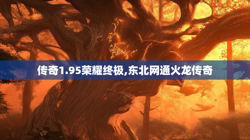 传奇1.95荣耀终极,东北网通火龙传奇