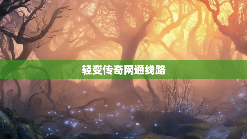 轻变传奇网通线路