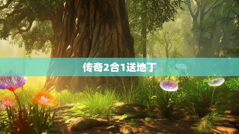 传奇2合1送地丁