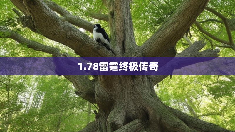 1.78雷霆终极传奇