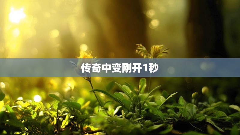 传奇中变刚开1秒