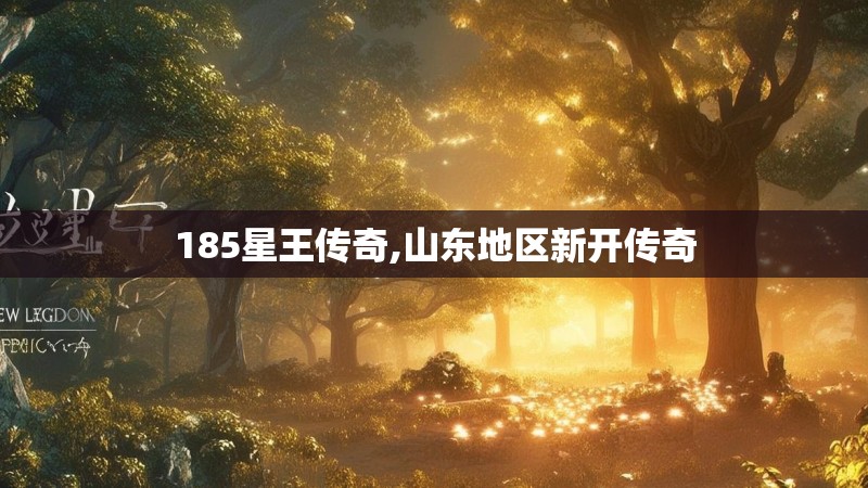 185星王传奇,山东地区新开传奇