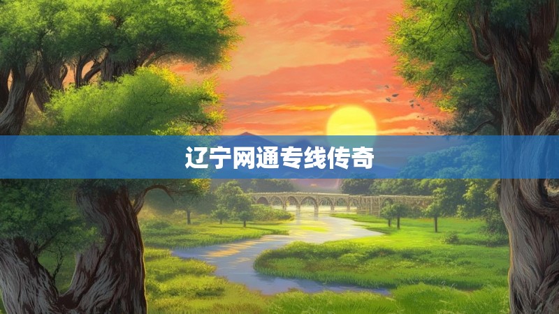 辽宁网通专线传奇