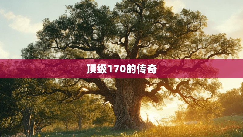 顶级170的传奇
