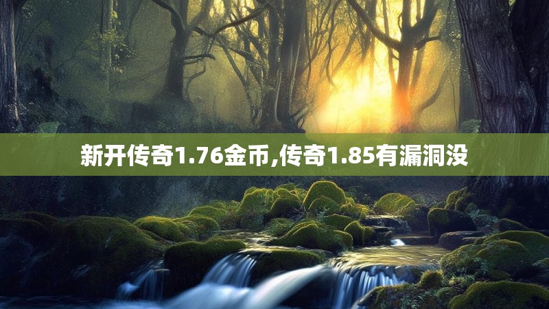 新开传奇1.76金币,传奇1.85有漏洞没