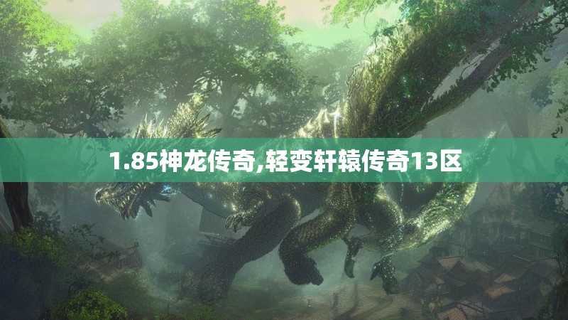 1.85神龙传奇,轻变轩辕传奇13区