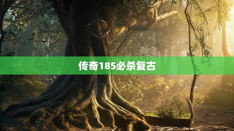 传奇185必杀复古