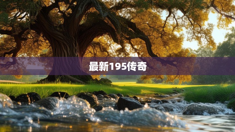 最新195传奇