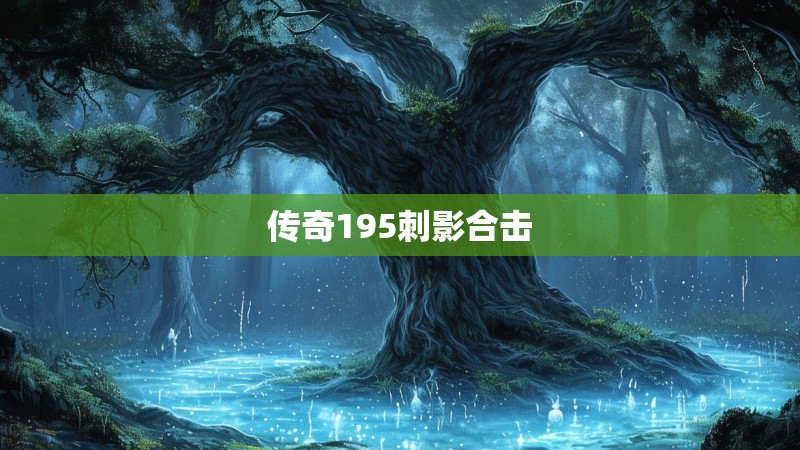 传奇195刺影合击