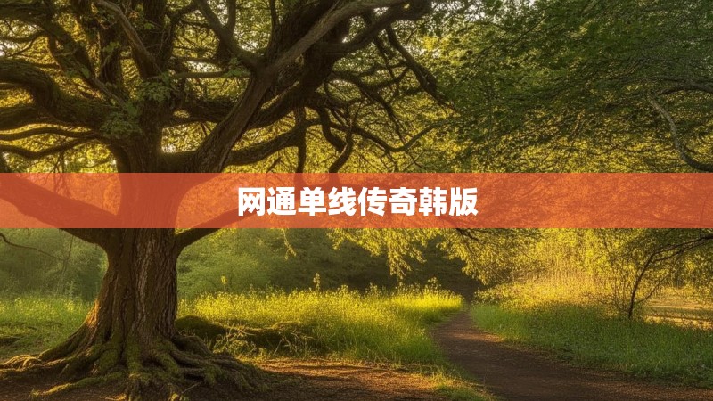 网通单线传奇韩版