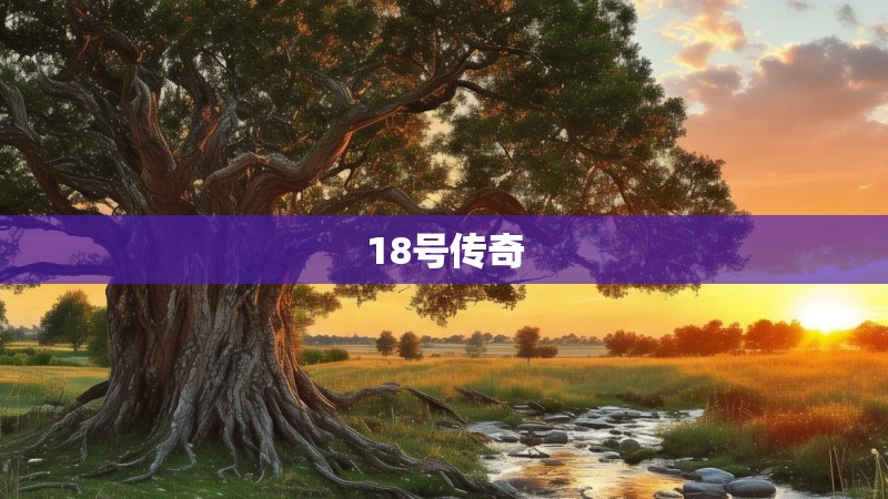 18号传奇