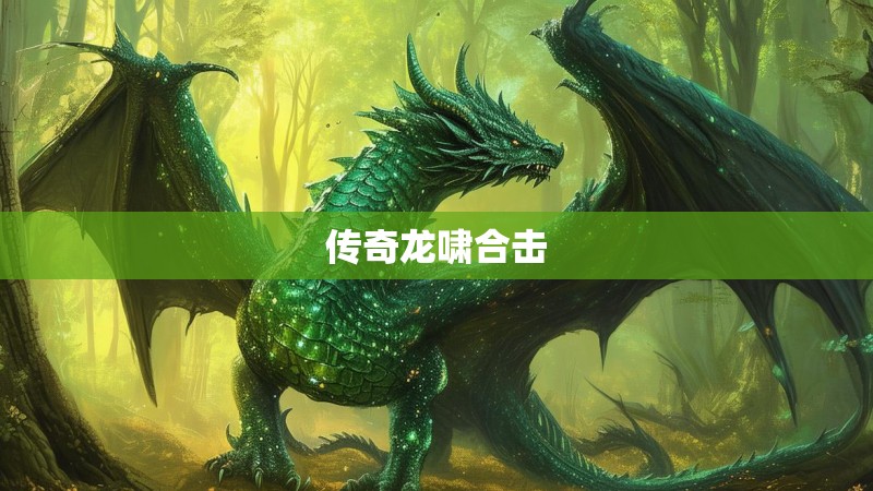 传奇龙啸合击