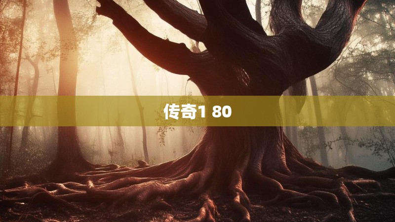 传奇1 80