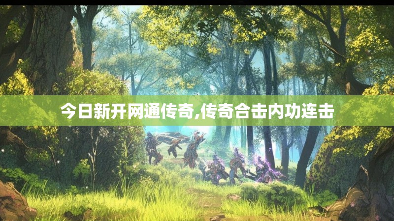 今日新开网通传奇,传奇合击内功连击