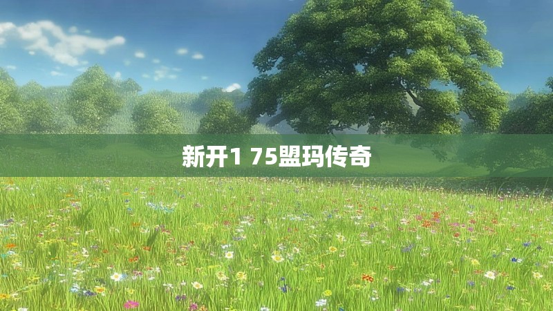 新开1 75盟玛传奇