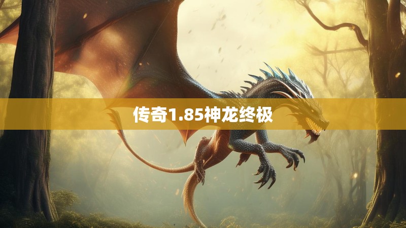 传奇1.85神龙终极