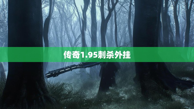 传奇1.95刺杀外挂