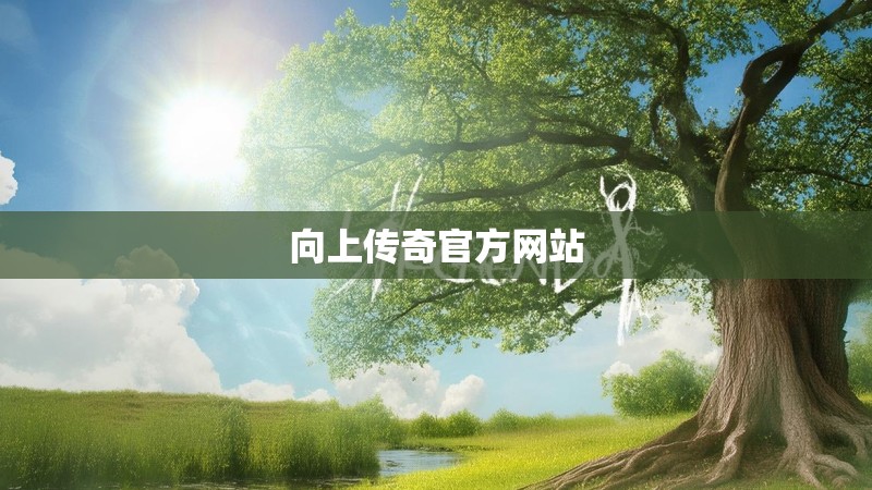 向上传奇官方网站
