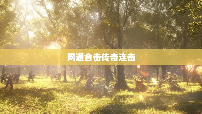 网通合击传奇连击
