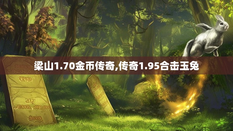 梁山1.70金币传奇,传奇1.95合击玉兔