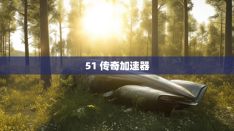 51 传奇加速器