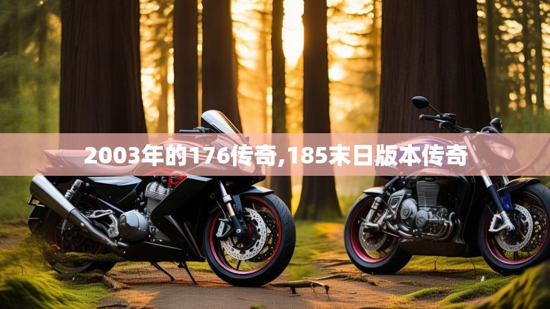 2003年的176传奇,185末日版本传奇