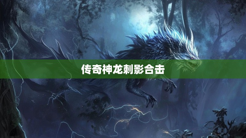 传奇神龙刺影合击