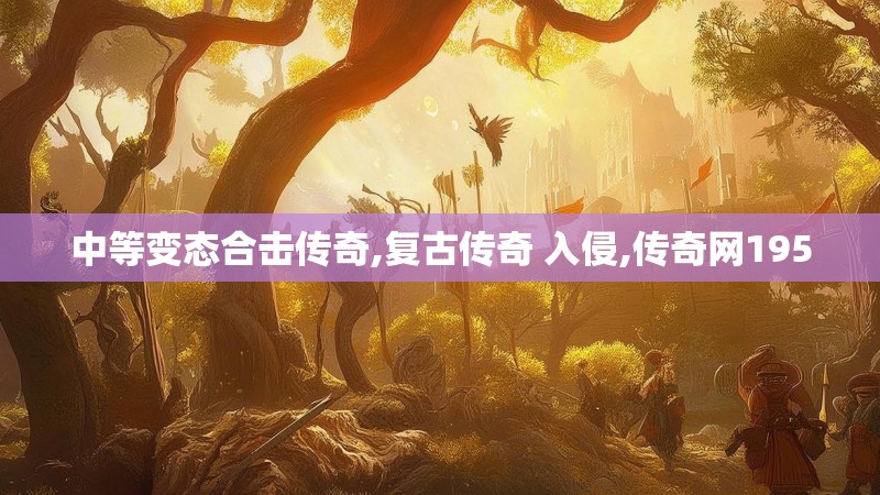 中等变态合击传奇,复古传奇 入侵,传奇网195