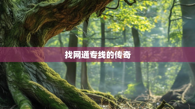 找网通专线的传奇