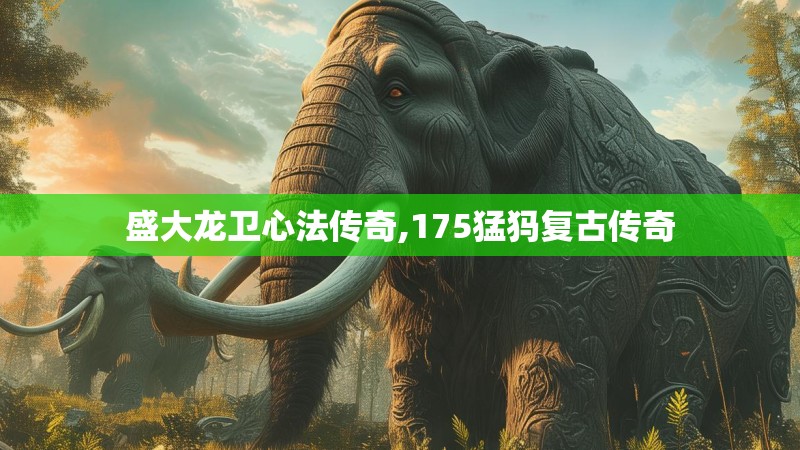 盛大龙卫心法传奇,175猛犸复古传奇