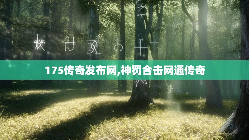 175传奇发布网,神罚合击网通传奇
