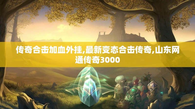 传奇合击加血外挂,最新变态合击传奇,山东网通传奇3000