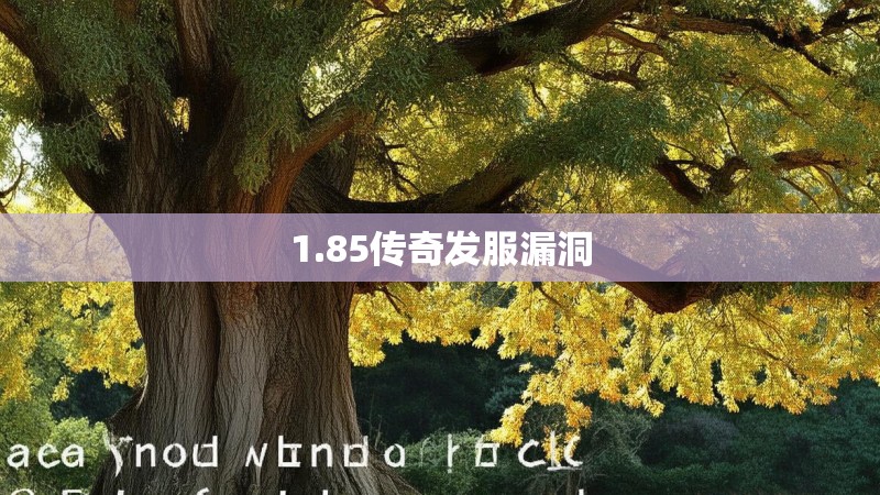 1.85传奇发服漏洞