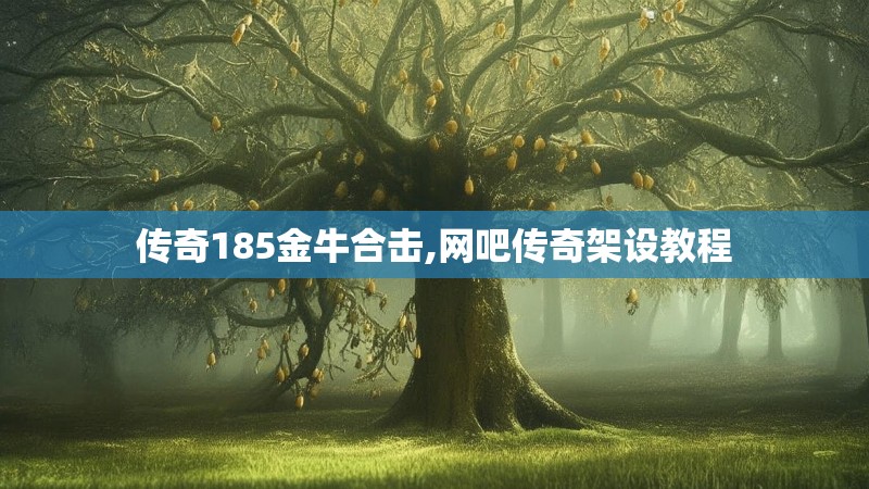 传奇185金牛合击,网吧传奇架设教程