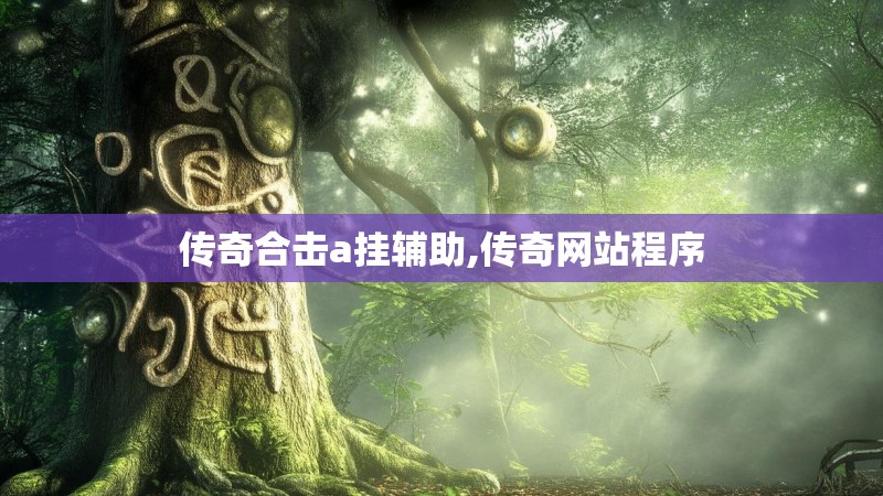 传奇合击a挂辅助,传奇网站程序