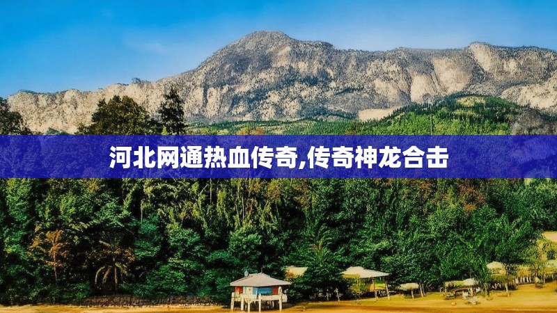河北网通热血传奇,传奇神龙合击