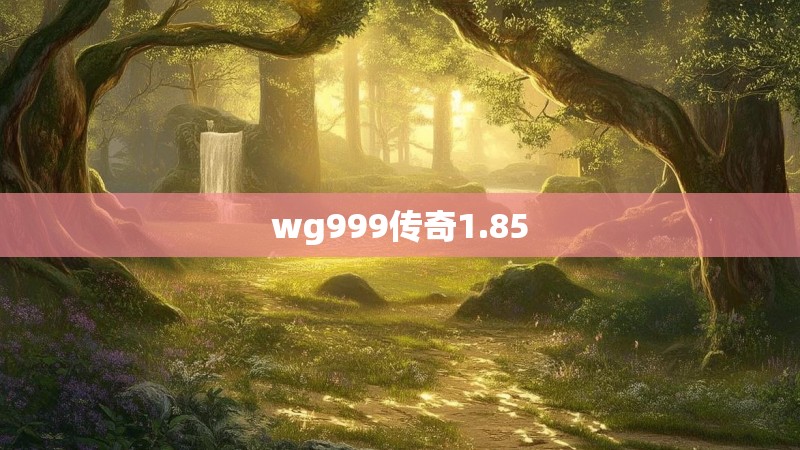 wg999传奇1.85