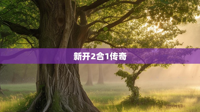 新开2合1传奇