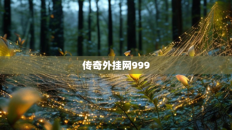 传奇外挂网999