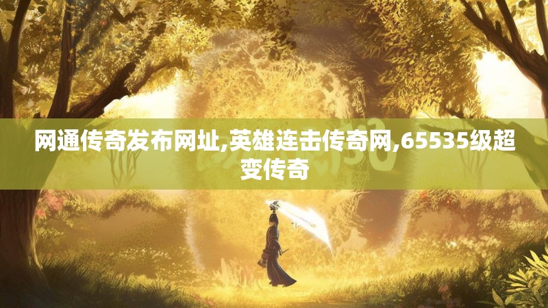 网通传奇发布网址,英雄连击传奇网,65535级超变传奇