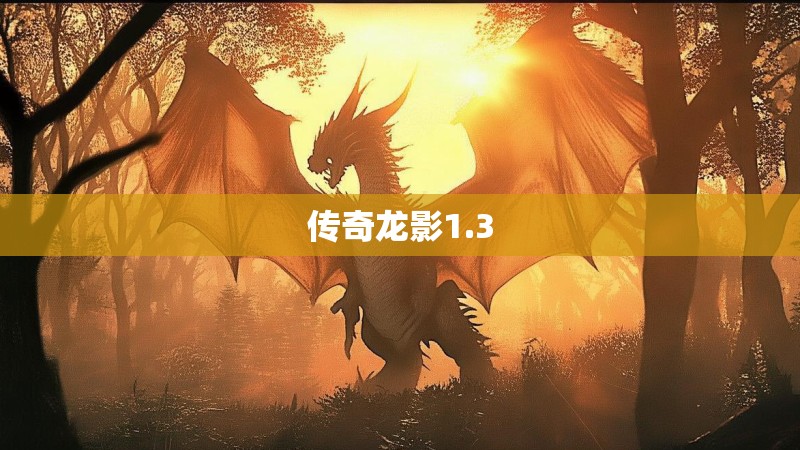 传奇龙影1.3