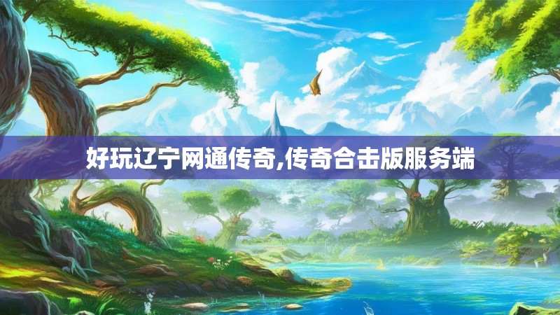 好玩辽宁网通传奇,传奇合击版服务端